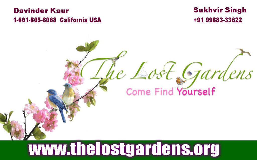 Contact Us The Lost Gardens